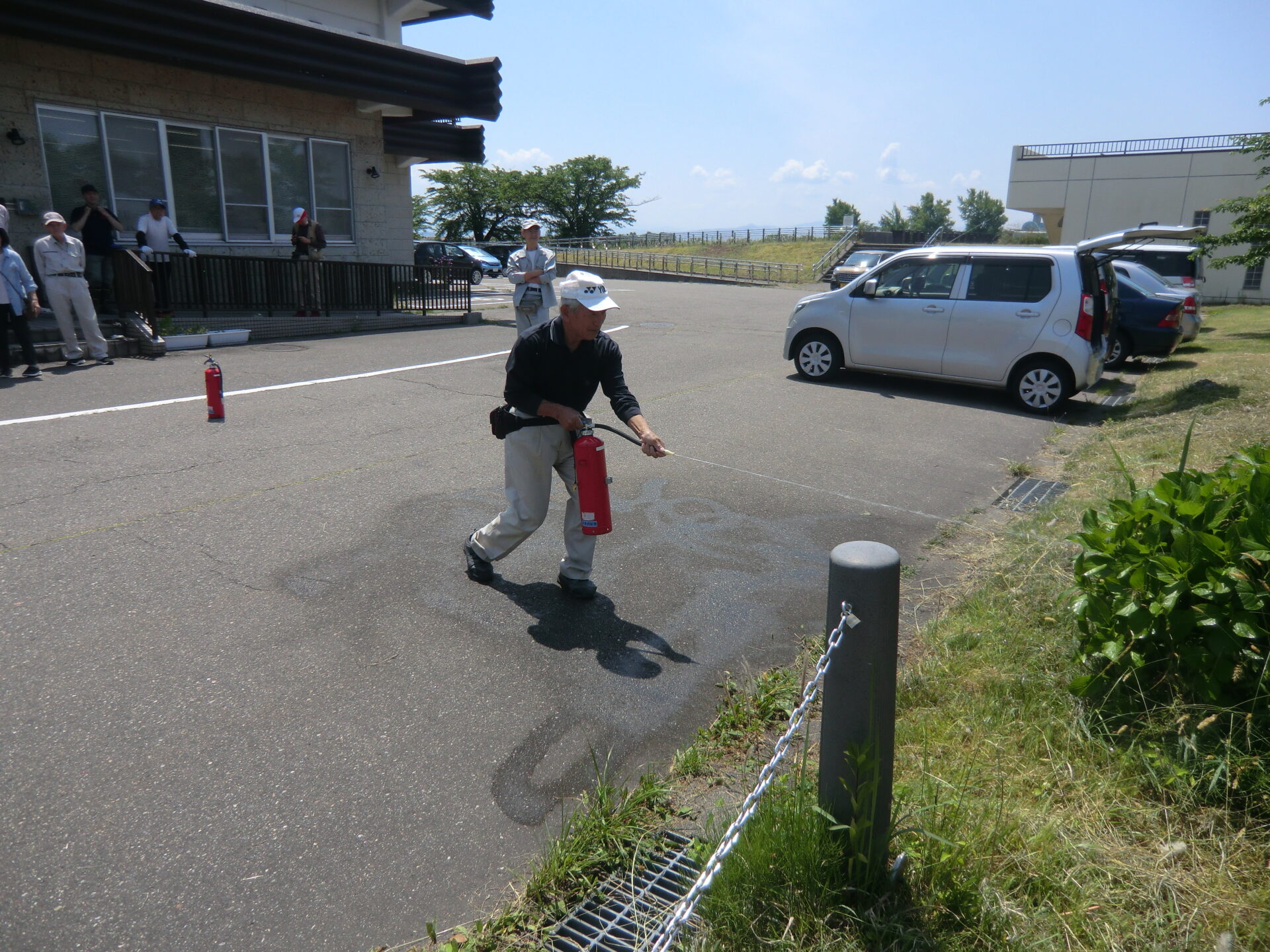 ガイド研修・クリーン作戦・庭木の剪定を行いました