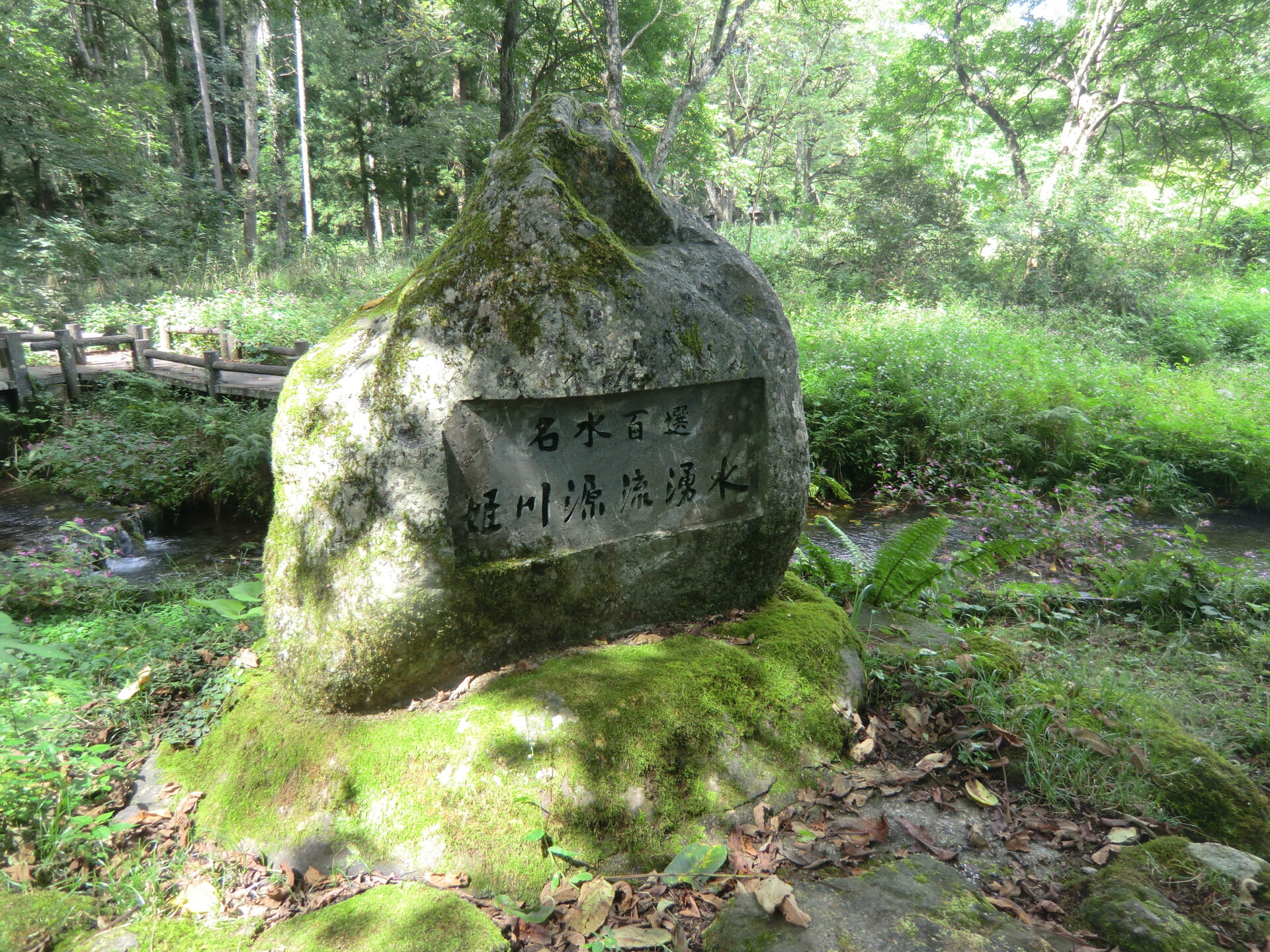 県外河川探訪に行ってきました