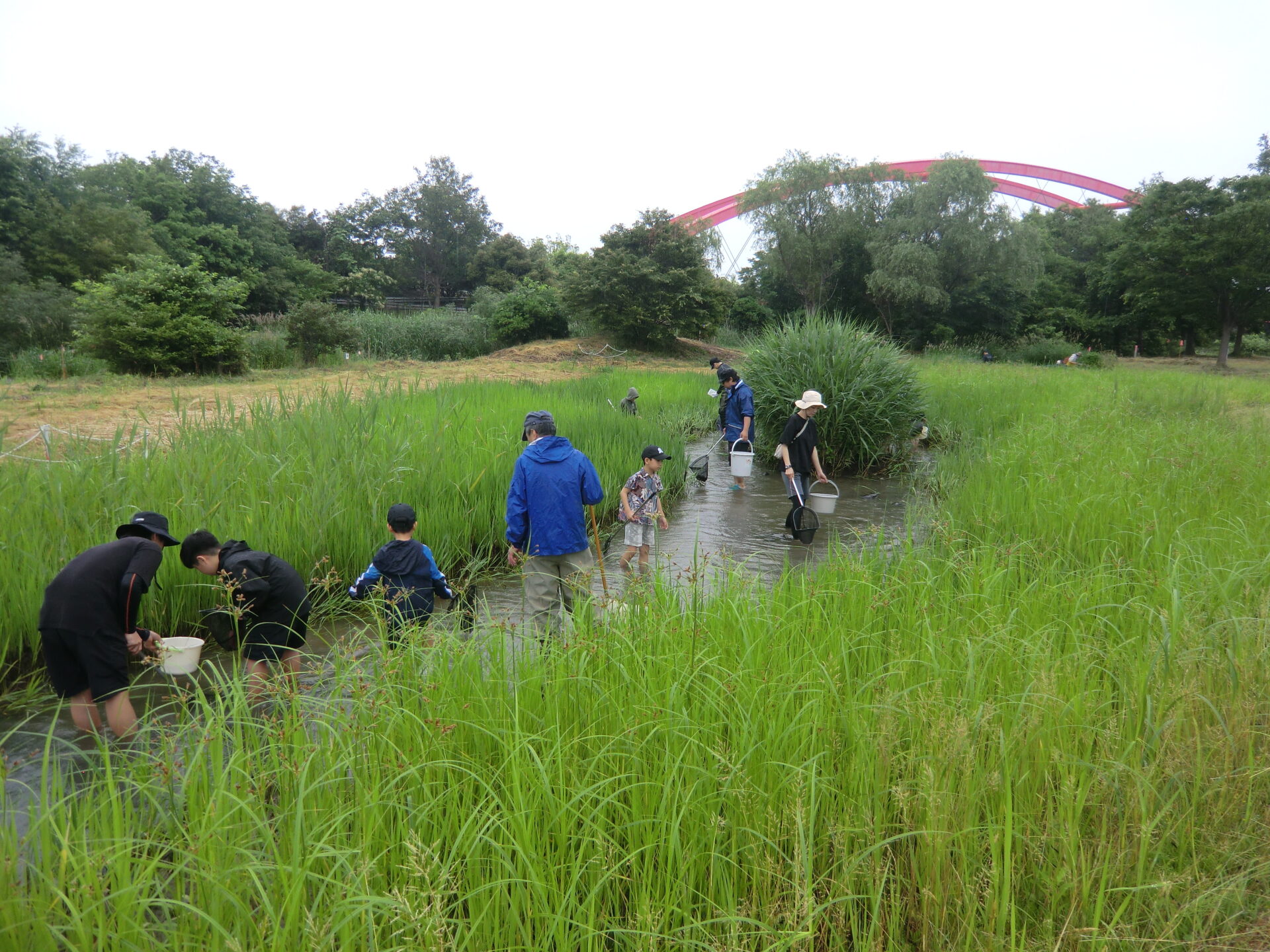 水辺の生き物観察会①開催しました🐟