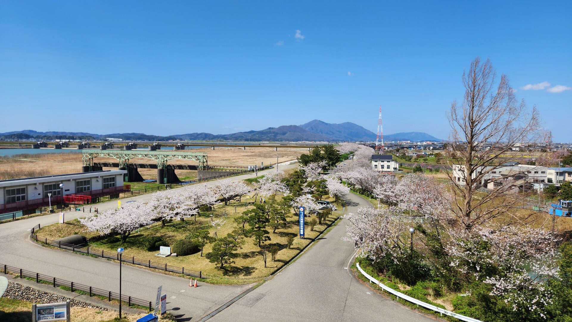 春のイベント開催しました